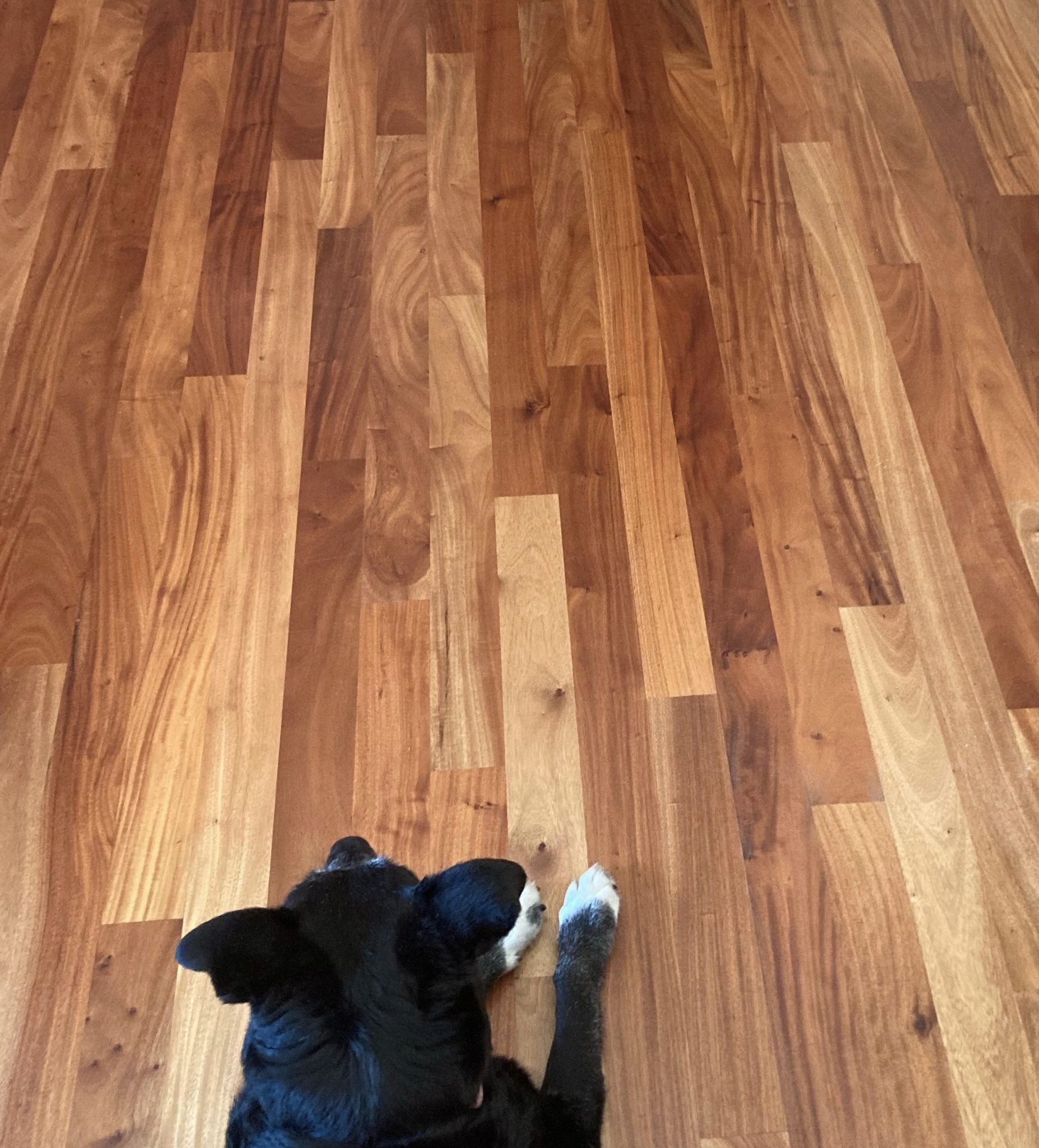 Amendoim 3/4" x 3" x 1-7' Solid Hardwood Flooring - Image 7